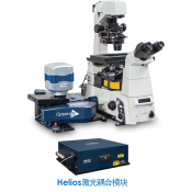 激光共聚焦顯微鏡 (1)